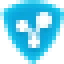 Radmin VPN Logo